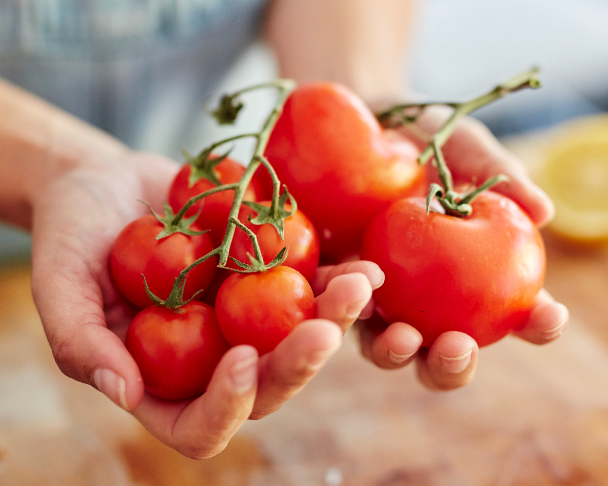 When Are Tomatoes in Season?